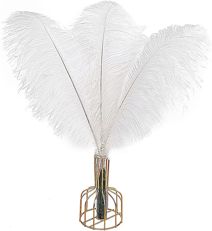 THARAHT 12pcs White Ostrich Feathers Natural Bulk 20-22Inch 50cm-55cm for Wedding Party Centerpieces Easter Gatsby and Home Decorate Ostrich Feathers-Ruum Studio Home