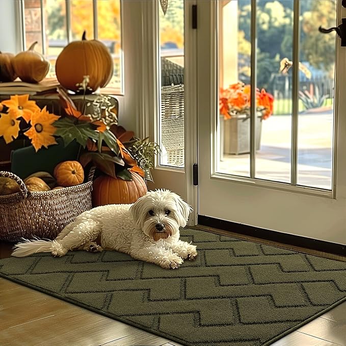 hicorfe Indoor Door Mat,Non Slip Door Mats,32"x48" Front Back Door Mat Rubber Backing,Absorbent Resist Dirt Entrance Inside Floor Mats for Entryway Washable Low-Profile(Oliver Green)-Ruum Studio Home