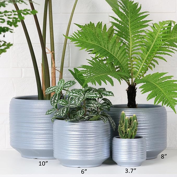 Mini Succulent Planter Set – 3.7 Inch Ceramic Pots with Drainage for Indoor Plants, Small Decorative Flower Pots for Cactus and House Plants, Set of 4-Ruum Studio Home