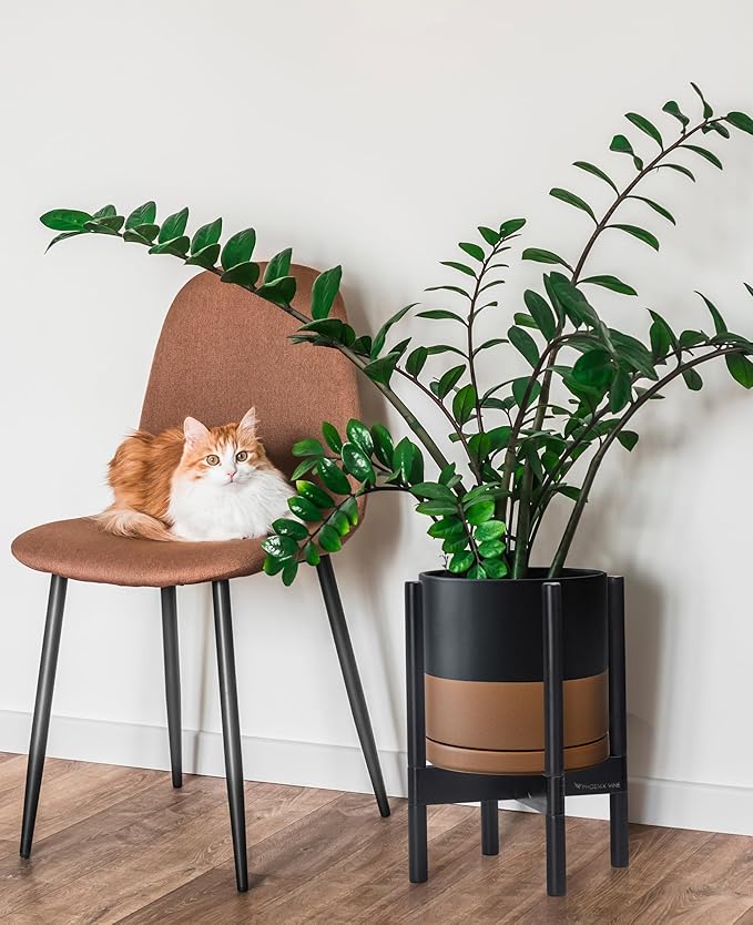 D'vine Dev Ceramic Planter with Ebony Stand - 10 Inch Modern Round Flower Pot with Wood Planter Holder, Black/Speckled Tan, 55-B-L-7-Ruum Studio Home