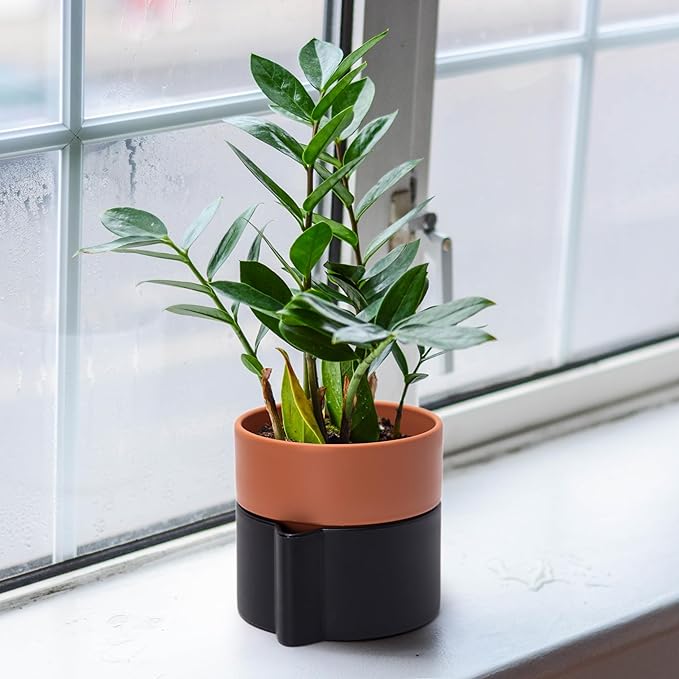 6.5 Inch Self-Watering Planter Pot with Terracotta Insert, Deep Water Reservoir, and Ceramic-Alike BPA-Free Plastic Pot for Plant, Modern Planter for Houseplants, Black/Terracotta, 53-B-S-5-Ruum Studio Home