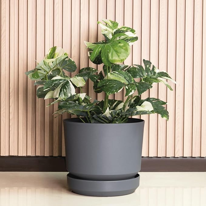 Elly Décor 10 inch Plastic Cylinder Planter Pot with Self-Watering Saucer and Drainage Hole,Lightweight & Extremely Durable, 10"x 10", Light Gray-Ruum Studio Home