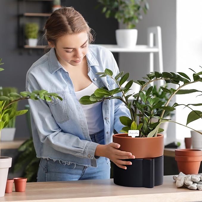 8 Inch Self-Watering Planter Pot with Terracotta Insert, Deep Water Reservoir, and Ceramic-Alike BPA-Free Plastic Planter Pot for Plant, Modern Planter for Houseplants, Black/Terracotta, 53-B-T-5-Ruum Studio Home