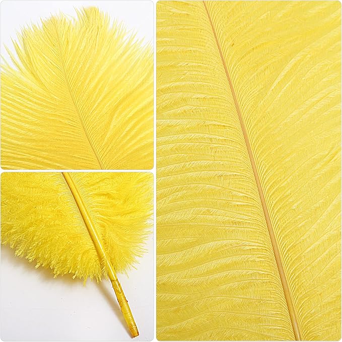 THARAHT Yellow Ostrich Feathers 24pcs Natural Bulk 10-12Inch 25cm-30cm for Crafts Wedding Party Centerpieces Halloween and Home Decoration Feathers-Ruum Studio Home