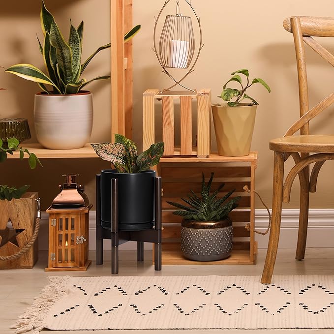 D'vine Dev Ceramic Planter with Walnut Color Stand - 8 Inch Modern Round Flower Pot with Wood Planter Holder, Black, 55-B-Y-2-Ruum Studio Home