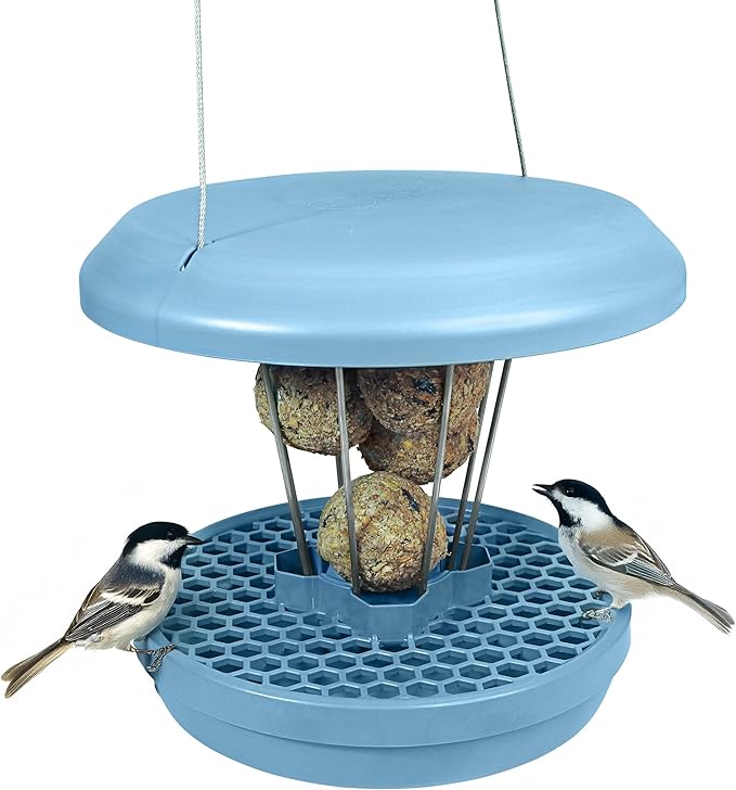 SWISSINNO No Mess Bird Feeder Lucerne Smart Birds for Fat Balls - Feed Birds, not mice & Rats! Robust & Reliable for Hanging - Made in EU - Light Blue-Ruum Studio Home