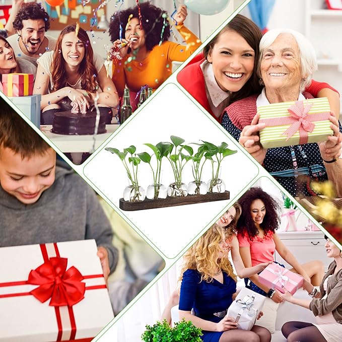 YIBOT Plant Propagation Stations,Glass Propagation Vases for Plants Terrarium with Wooden Tray Plant Lover Gifts for Propagating Hydroponic Plants Home Office Decor(5 Vase)-Ruum Studio Home