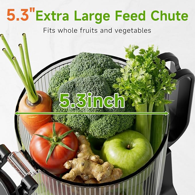 Cold Press Juicer, 5.3" Wide Feed Chute Juice Extractor Machine with 400W, High Juice Yield, Slow Masticating Juicer for Whole Vegetables & Fruits, Deep Grey-Ruum Studio Home