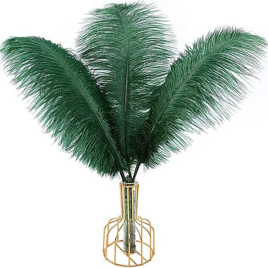 THARAHT Blackish Green Ostrich Feathers 12pcs Large Natural Bulk 12-14Inch 30cm-35cm for Wedding Party Centerpieces Mardi Gras Decoration Feather-Ruum Studio Home