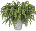 Artgar 50 Pcs Pine Branches - 18 Inch Artificial Green Pine Stem - Real Touch Pines Branches - Christmas Greenery Pines Branches for DIY Flower Arrangement Home Indoor Christmas Decor-Ruum Studio Home