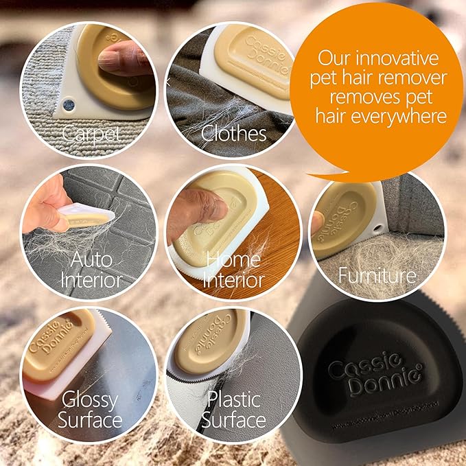 Mini Pet Hair Detailer, Pet Hair Remover for Carpet Couch Bedding Sofa, Car Interior Auto Detailing Supplies, Dog Cat Fur Reusable Brush for Furniture-Ruum Studio Home