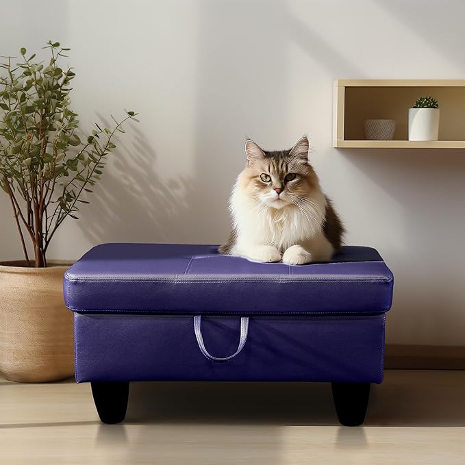 Ottoman Rectangular Storage Ottoman Bench, Faux Leather Footrest, Coffee Table, Stool Footstool with Hinged Lid for Living Room, Bedroom, Entryway, Blue, 28.5"x19"x17.5"-Ruum Studio Home