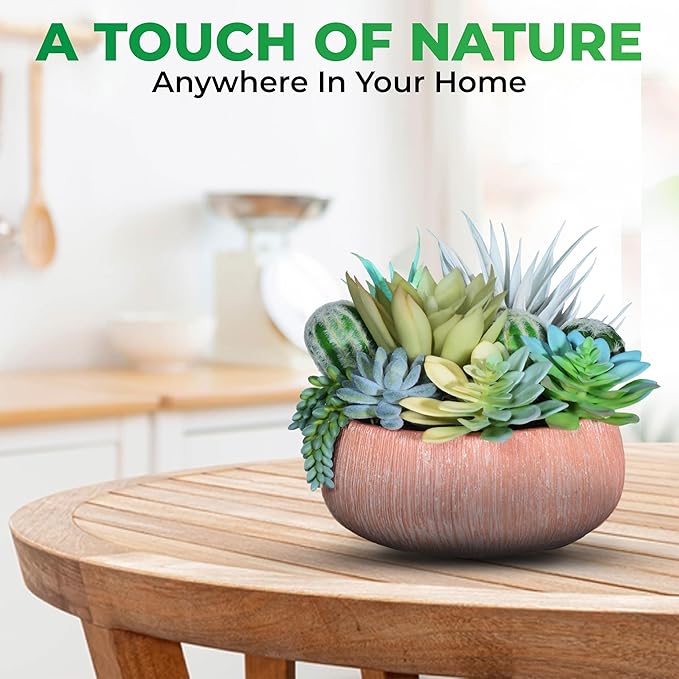 Premium Assorted Artificial Succulent Collection - Large Real Touch Artificial Cactus, Aloe Vera & Succulent Plants Artificial with Pots for Home Office Indoor (Artificial Coconut Shell - Pot)-Ruum Studio Home