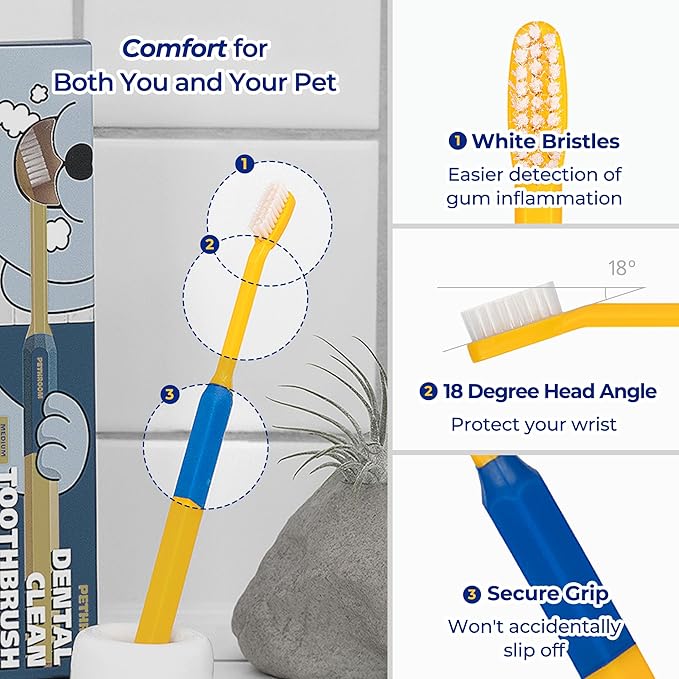 PETHROOM] Pet Toothbrush | Dogs and Cats Teeth Brushing Cleaning Tooth Care | Soft Bristle Cleaning Toothbrush for Dog Puppy Cat, Removing Old Plaque and Tartar (Medium)-Ruum Studio Home