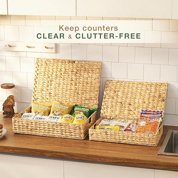 Set of 2 Wicker Baskets with Lid for Organizing - Decorative Storage Boxes With Lids for Home Decor, Shelves - Organic Modern Home Decor - Remote Box - Coffee Table Basket-Ruum Studio Home