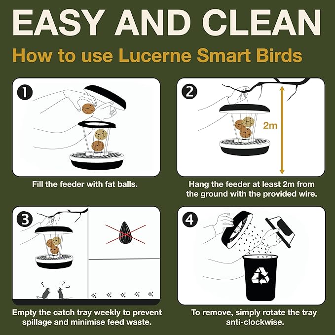 SWISSINNO No Mess Bird Feeder Lucerne Smart Birds for Fat Balls - Feed Birds, not mice & Rats! Robust & Reliable for Hanging - Green-Ruum Studio Home