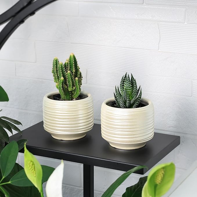 Mini Succulent Planter Set – 3.7 Inch Ceramic Pots with Drainage for Indoor Plants, Small Decorative Flower Pots for Cactus and House Plants, Set of 4-Ruum Studio Home