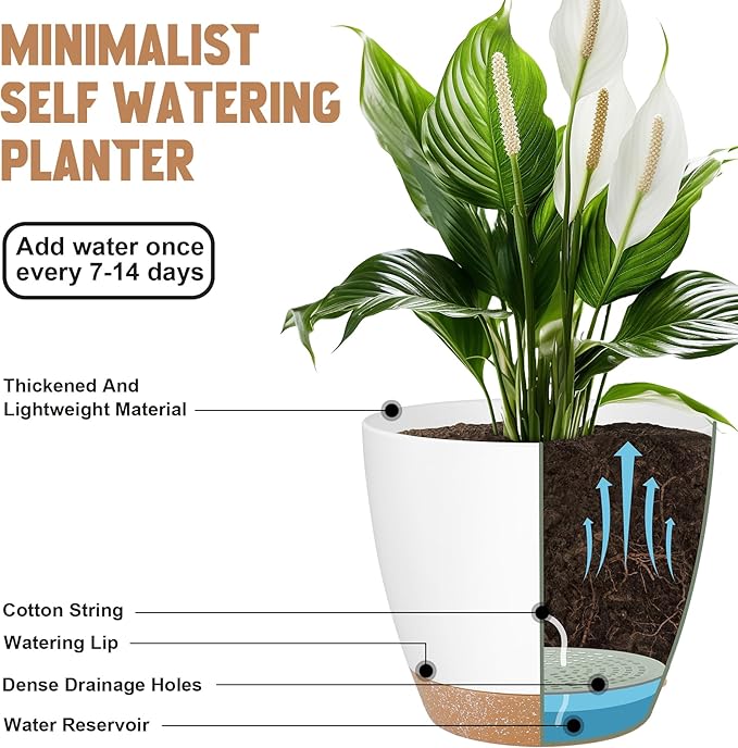 Plant Pots 8/7/6.5/6/5.5/5 Inch Self Watering Pots, Set of 6 Plastic Planters with Drainage Holes and Saucers,Plastic Flower Pots,Nursery Planting Pot for Indoor Out Door Plants（White）-Ruum Studio Home