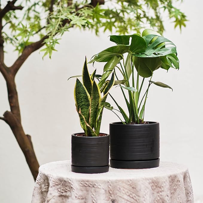 6 + 8 Inch Plant Pots, Ceramic Planter Pot with Drainage Hole & Saucer, Indoor/Outdoor Cylinder Round Planter Pot, Matte Black-Ruum Studio Home