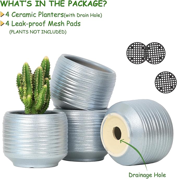 Mini Succulent Planter Set – 3.7 Inch Ceramic Pots with Drainage for Indoor Plants, Small Decorative Flower Pots for Cactus and House Plants, Set of 4-Ruum Studio Home