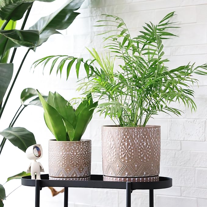 8 Inch + 6 Inch Plant Pot with Drainage Holes and Saucers, Indoor Ceramic Planter for Plants Succulent Orchid Flower Pots-Ruum Studio Home