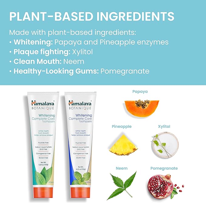 Himalaya Botanique Whitening Complete Care Toothpaste, Mint and Peppermint Flavors - Whitening Toothpaste Without Fluoride for Brighter Teeth & Fresh Breath - Vegan, Gluten Free, 5.29 oz (Pack of 2)-Ruum Studio Home