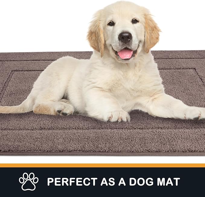 PURRUGS Dirt Trapping Door Mat 24" x 35.5", Non-Slip/Skid Machine Washable Entryway Rug, Dog Doormat, Super Absorbent Welcome Mat for Muddy Wet Shoes and Paws, Grayish Brown-Ruum Studio Home