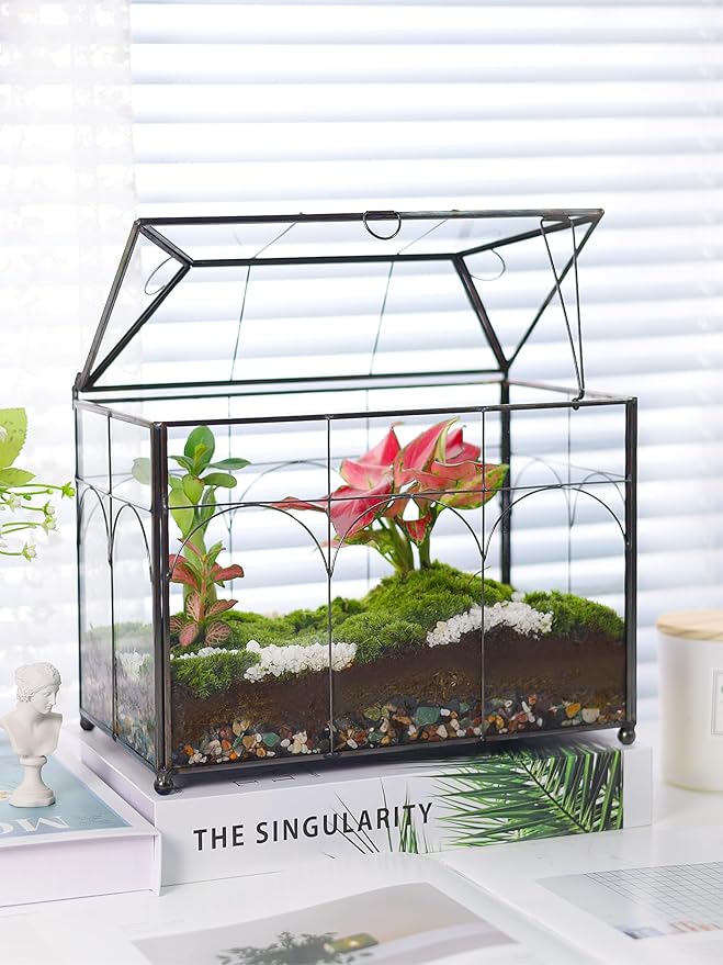 Handmade Glass Planter Terrarium with Lid, Indoor Tabletop Centerpiece Display Box Modern Decor DIY Gift Plant Terrarium Container for Succulent Cacti Air Plants Flower (Black)-Ruum Studio Home