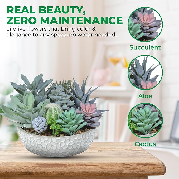 Premium Assorted Artificial Succulent Collection - Large Real Touch Artificial Cactus, Aloe Vera & Succulent Plants Artificial with Pots for Home Office Indoor (Artificial Glass - Pot)-Ruum Studio Home