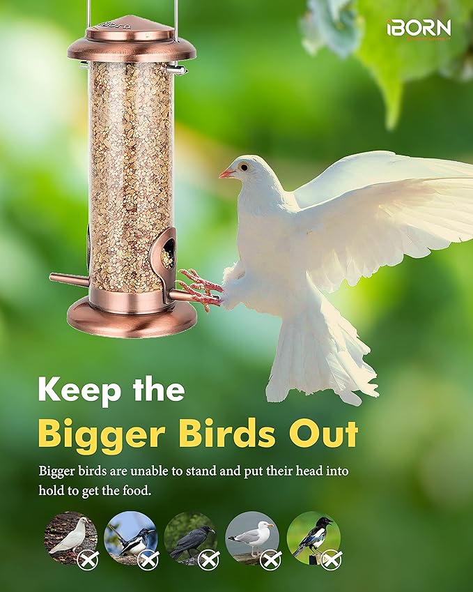 iBorn Metal Bird Feeder Hanging Wild Bird Feeders for Mix Seed Blends Heavy Duty All Metal Finishing, Copper Finish, 8 Inch 2 Port (Seed is not Included)-Ruum Studio Home