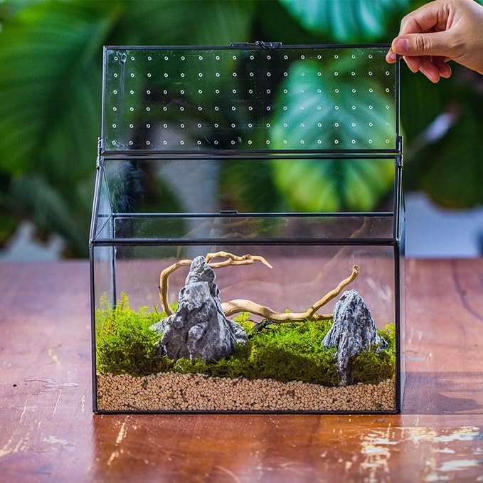 NCYP House Shape Glass Terrarium with Acrylic Lid - 10.2x5.9x8.2 Inches Large Geometric Box for Snails, Ferns, Succulents, Air Plants, Indoor Tabletop Decor, Handmade (Terrarium Only)-Ruum Studio Home