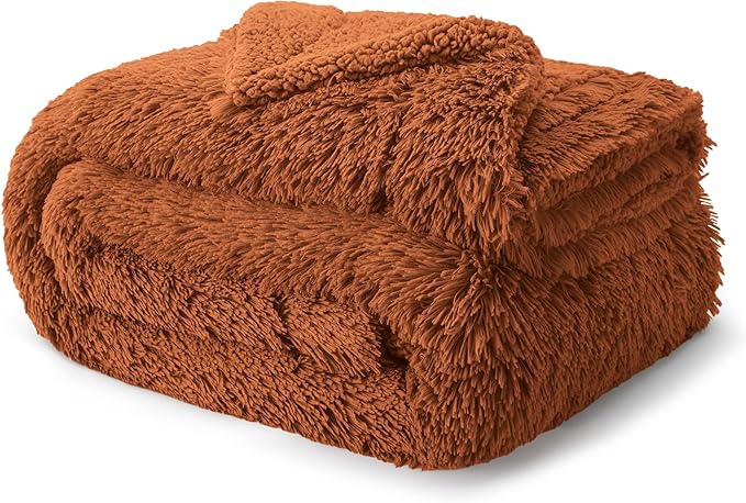 Bedsure GentleSoft Fluffy Burnt Orange Blankets Queen Size for Bed, Cozy Thick Sherpa Faux Fur Fleece Fuzzy Plush Winter Warm Soft Full Queen Blankets, Bedroom Decor Orange Gifts for Women Men, 90x90-Ruum Studio Home