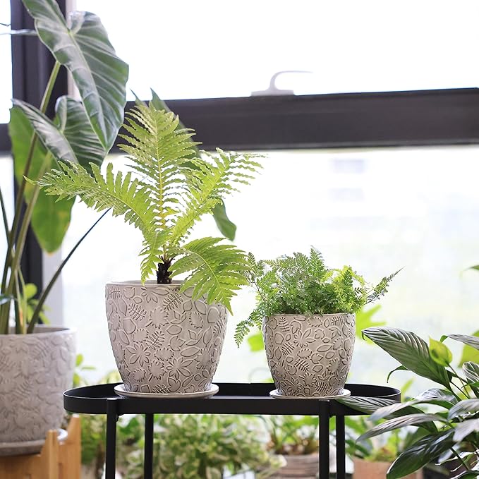 8 Inch + 6 Inch Retro Ceramic Planter Set of 2 with Drainage Hole and Saucer for Multiple Plants, Indoor-Outdoor Garden Pots for Succulent, Orchid, and Flower (Retro White)-Ruum Studio Home