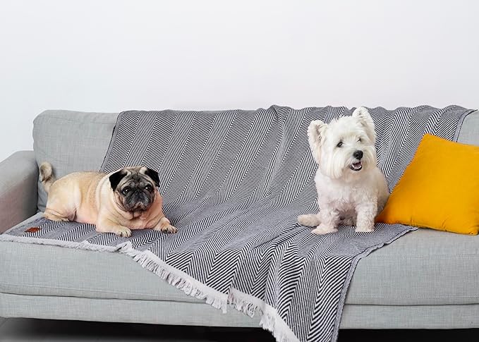 Gold Case Throw Blanket for Bed – 100% Recycled Turkish Cotton Bed Blanket – Decorative Throw Cotton Blankets for Living Room & Bedroom – Woven Twin Blankets - 71x90 - Black-Ruum Studio Home