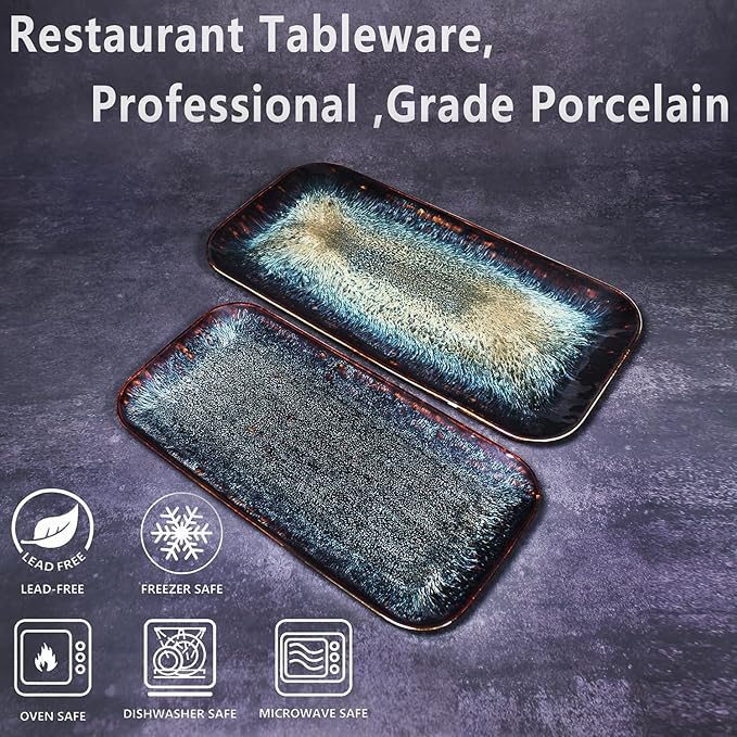 Porcelain Dinner Plates Platters Set of 2, for Fruit, dessert, snack platter, Bread, cupcake, Salad - Microwave, Dishwasher Safe, Scratch Resistant durable, Black Reactive glaze-Ruum Studio Home
