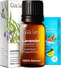 Gya Labs Lavender Essential Oil for Diffuser - 0.34 Fl Oz - 100% Pure Natural Lavender Oil for Skin, Hair, Massage, Aromatherapy & Candle Making Scent-Ruum Studio Home