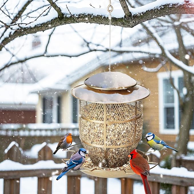 Bird Feeder for Outdoors, Funnel Style Wild Finch Feeders for Outside Hanging Courtyard Bird Watching, Metal Birdfeeder with Lid Fixing Buckle, 3Lbs Capacity-Ruum Studio Home