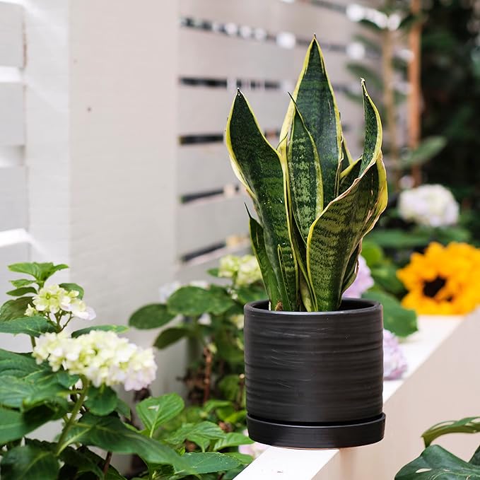 6 + 8 Inch Plant Pots, Ceramic Planter Pot with Drainage Hole & Saucer, Indoor/Outdoor Cylinder Round Planter Pot, Matte Black-Ruum Studio Home