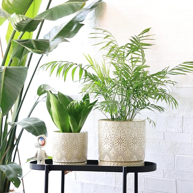 8 Inch + 6 Inch Indoor Plant Pot with Drainage Holes and Saucers, Ceramic Planter for Plants, Succulent Orchid Flower Pots-Ruum Studio Home