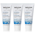 Weleda Natural Salt Toothpaste. 2.5 Fluid Ounce (Pack of 3)-Ruum Studio Home