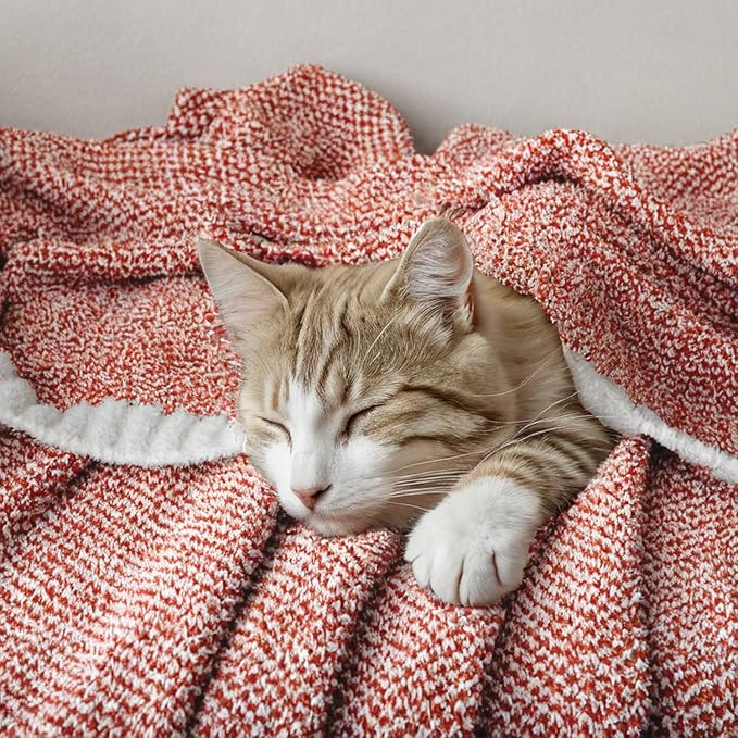 MIULEE Fall Rust Super Soft Throw Blanket for Couch, Cozy Fluffy Warm Throws Knit Blankets for Sofa, Bed, Chair, Living Room, Camping, Picnic, 50 x 60 inch-Ruum Studio Home