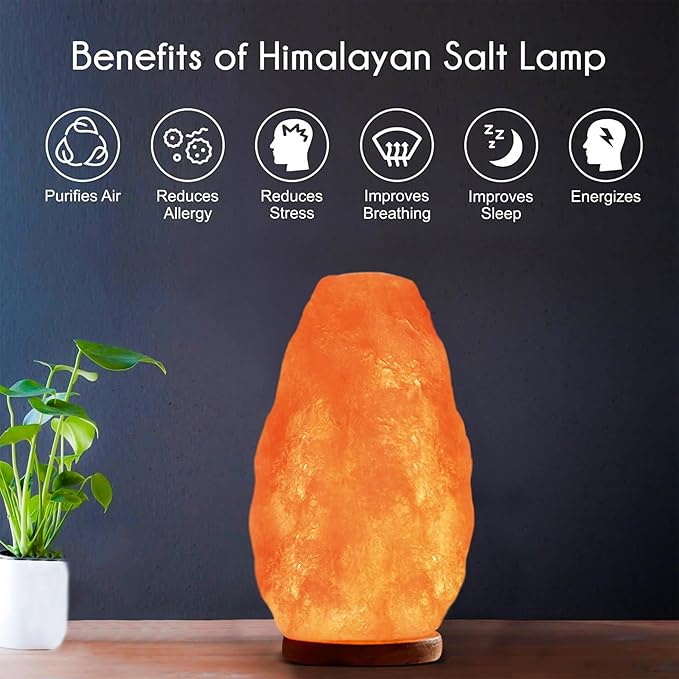 Himalayan Glow Salt Lamp with Dimmer Switch 5-7 lbs-Ruum Studio Home