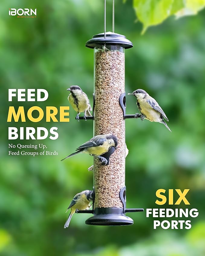 iBorn Metal Bird Feeder Hanging Wild Bird Seed Feeder for Mix Seed Blends Heavy Duty All Metal Black Finish,14 Inch 6 Port,Pack of 2-Ruum Studio Home