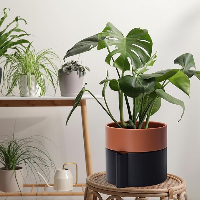 8 Inch Self-Watering Planter Pot with Terracotta Insert, Deep Water Reservoir, and Ceramic-Alike BPA-Free Plastic Planter Pot for Plant, Modern Planter for Houseplants, Black/Terracotta, 53-B-T-5-Ruum Studio Home