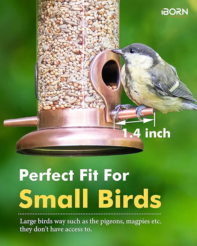 iBorn Metal Bird Feeder Hanging Wild Bird Feeders for Mix Seed Blends Heavy Duty All Metal Finishing, Copper Finish, 8 Inch 2 Port (Seed is not Included)-Ruum Studio Home