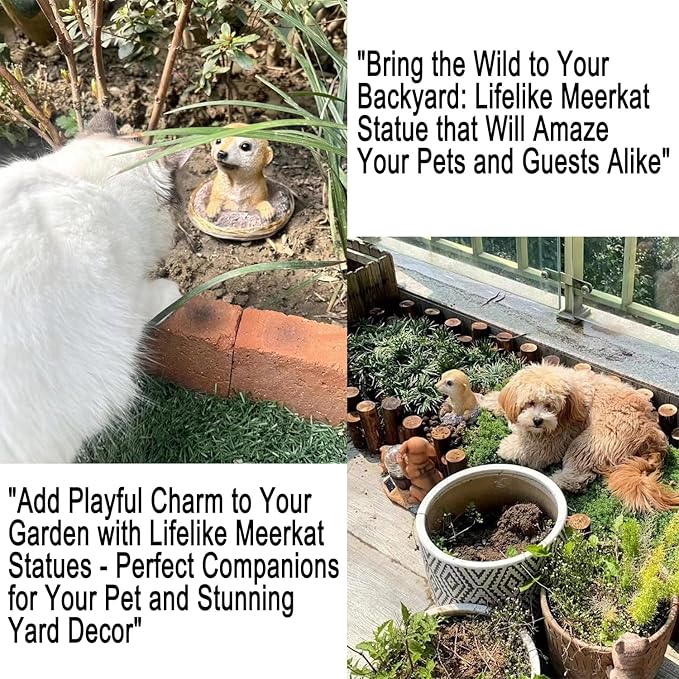 Meerkat Statue - Charming Meerkat Garden Animal Statue: Lifelike Decor Accent for Your Yard or Patio - Add Personality to Your Outdoor Space-Ruum Studio Home