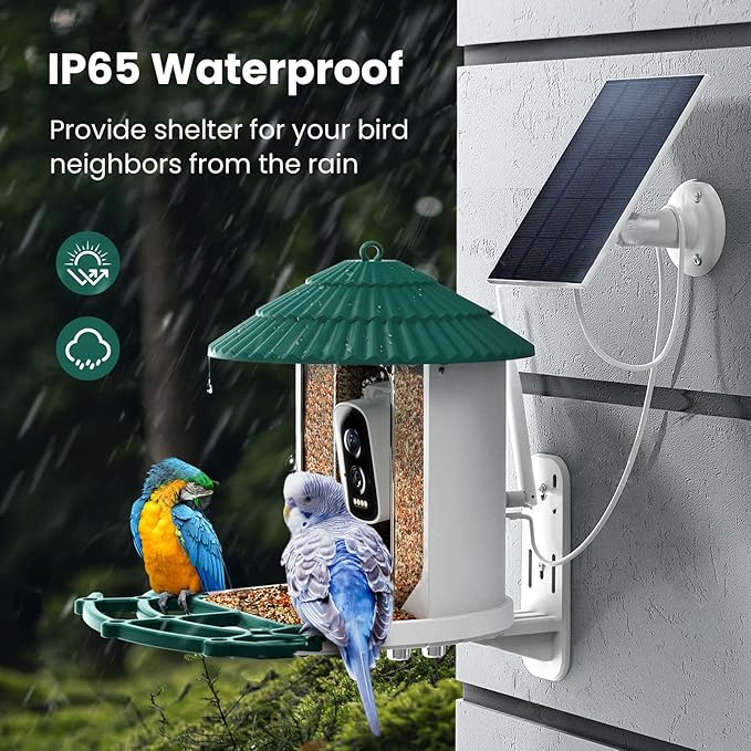 Bird Feeders for Outdoors, Smart Bird Feeder with Camera Solar Powered, AI Species Identification, 3K Video Live Stream Camera, 5Mp HD Night Vision, Instant Arrival Alerts (Light Green)-Ruum Studio Home