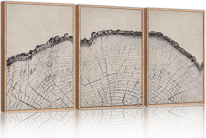 HPINUB Vintage Wood Tree Rings Wall Art Set, Framed Canvas Paintings, Black and White Nature-Inspired Decorative for Modern Home Decor for Living Room, Bedroom, Dining Room, Office- 24"x36"x3-Ruum Studio Home