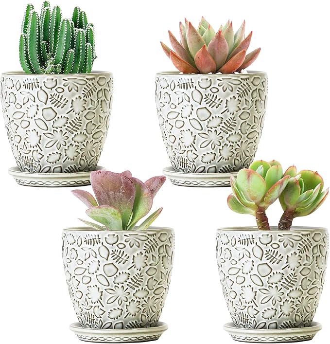 4 Inch Mini Plant Pots, Ceramic Succulent Planter with Drainage Hole and Saucers for Indoor Plants, Small Garden Pots for Succulent, Herb and Flower, Set of 4-Ruum Studio Home
