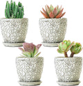 4 Inch Mini Plant Pots, Ceramic Succulent Planter with Drainage Hole and Saucers for Indoor Plants, Small Garden Pots for Succulent, Herb and Flower, Set of 4-Ruum Studio Home